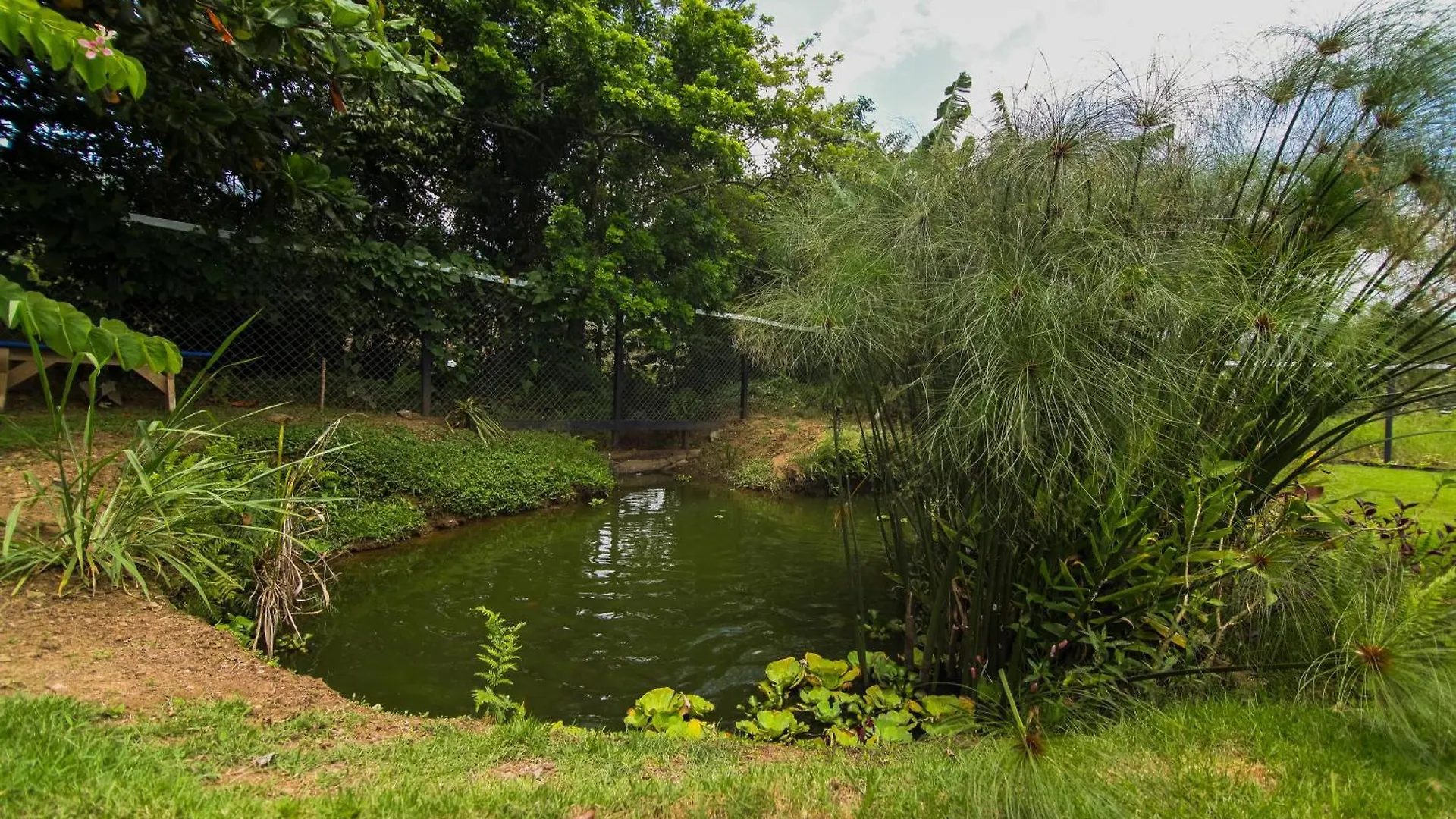 Holiday home Blueecolandia Bungalow Tierra Jarabacoa